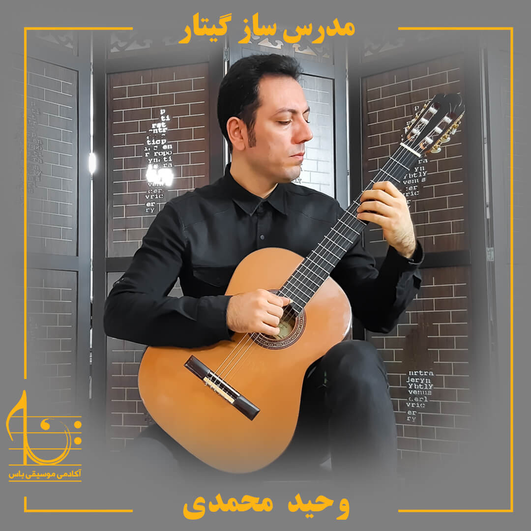 وحید محمدی - استاد گیتار
